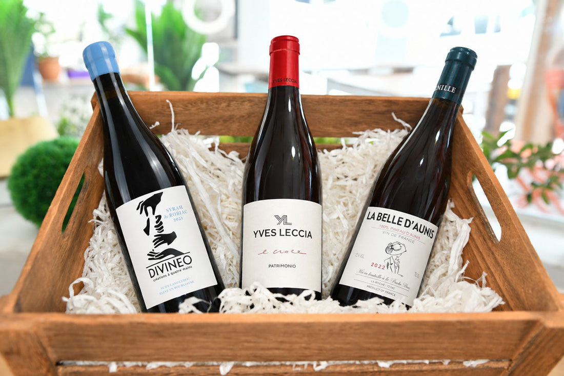 Box vin mensuelle ouverte avec sa sélection de bouteilles 