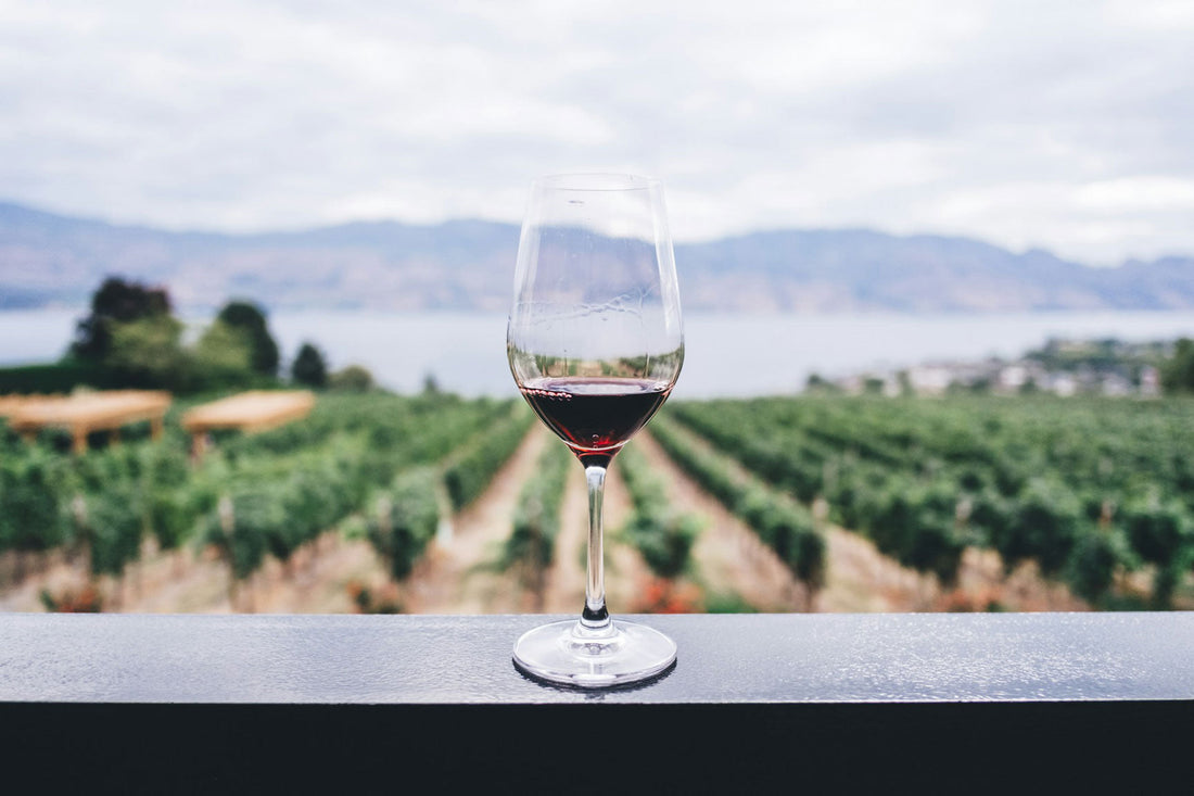 Dégustation à l'aveugle pour sélectionner un vin en direct producteur 