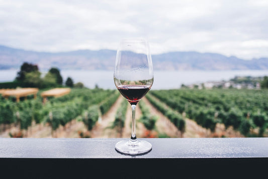 Dégustation à l'aveugle pour sélectionner un vin en direct producteur 
