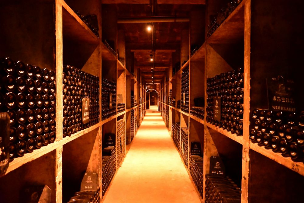 Cave à vin personnelle bien rangée, bouteilles couchées, éclairage tamisé 