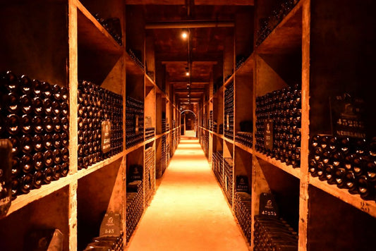 Cave à vin personnelle bien rangée, bouteilles couchées, éclairage tamisé 