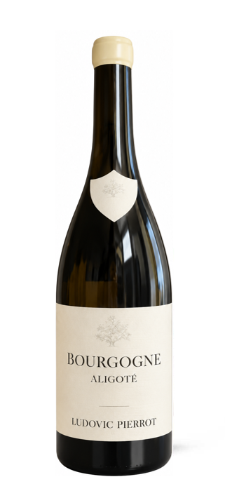 Aligoté 2024