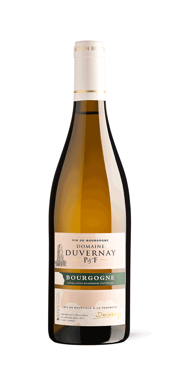 vue du vin Bourgogne Blanc